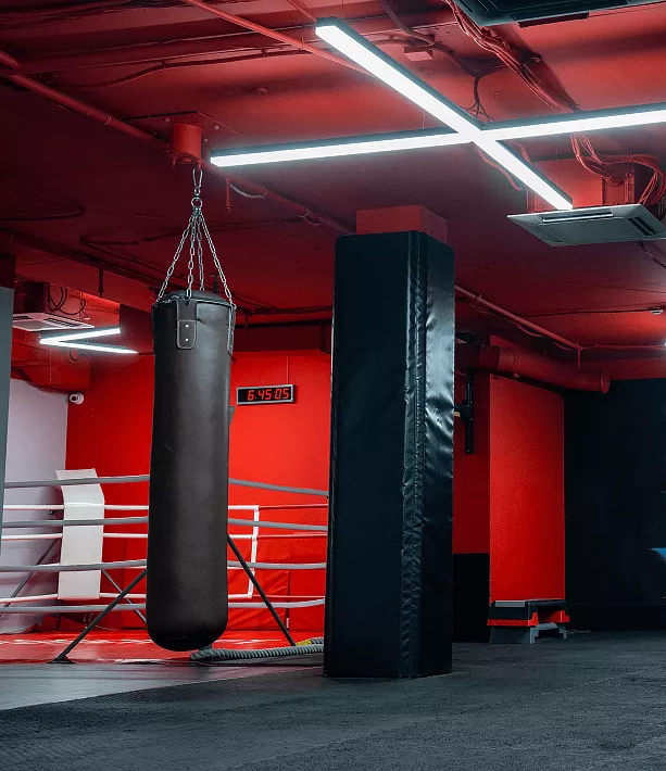 Боевые искусства
